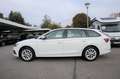 Skoda Octavia Octavia Combi 1.0 TSI e-TEC Ambition LED/Klima BC Blanc - thumbnail 4