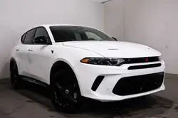 Dodge Hornet 2024