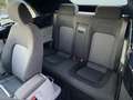 Volkswagen New Beetle 1.6 Highline Schwarz - thumbnail 9
