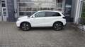 Suzuki Vitara 1.5 Dualjet Hybrid Allgrip AGS Comfort+ TZ 5 Jahre Blanco - thumbnail 2