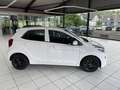 Kia Picanto 1.0 Vision 8-fach bereift Weiß - thumbnail 7