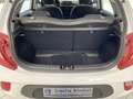 Kia Picanto 1.0 Vision 8-fach bereift Weiß - thumbnail 19