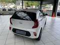 Kia Picanto 1.0 Vision 8-fach bereift Weiß - thumbnail 10