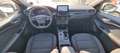 Ford Kuga Kuga 1.5 ecoblue ST-Line 2wd 120cv auto Blanc - thumbnail 11