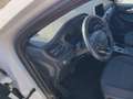 Ford Kuga Kuga 1.5 ecoblue ST-Line 2wd 120cv auto Bianco - thumbnail 14