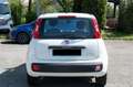 Fiat Panda Panda 1.0 FireFly S&S Hybrid Easy Wit - thumbnail 6