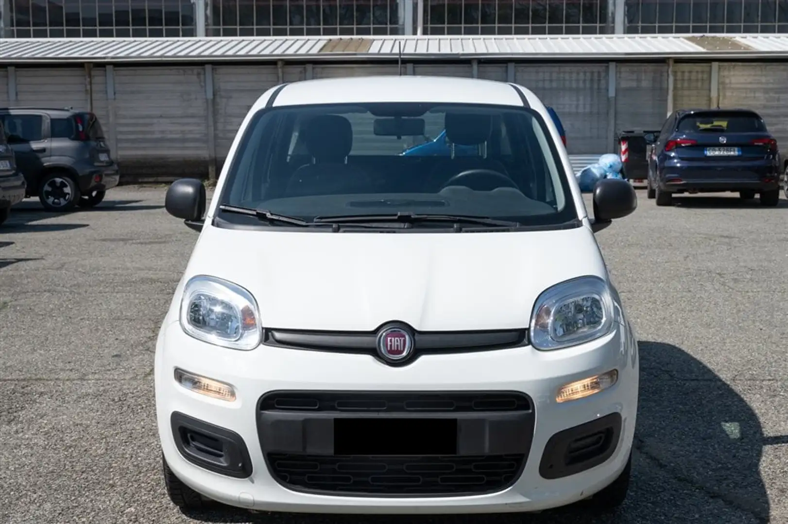 Fiat Panda Panda 1.0 FireFly S&S Hybrid Easy Wit - 2