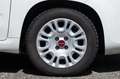 Fiat Panda Panda 1.0 FireFly S&S Hybrid Easy Wit - thumbnail 9