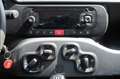Fiat Panda Panda 1.0 FireFly S&S Hybrid Easy Wit - thumbnail 18