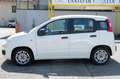 Fiat Panda Panda 1.0 FireFly S&S Hybrid Easy Wit - thumbnail 8