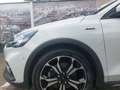 Ford Focus 1,0 Active, Komfort-Design-Sicht Paket, Panoramada Weiß - thumbnail 5