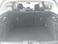 Ford Focus 1,0 Active, Komfort-Design-Sicht Paket, Panoramada Weiß - thumbnail 6