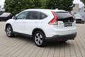 Honda CR-V 2.2 i-DTEC Executive#AWD#AHK#WINTERREIFEN Weiß - thumbnail 6