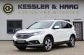 Honda CR-V 2.2 i-DTEC Executive#AWD#AHK#WINTERREIFEN Weiß - thumbnail 1