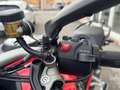 Ducati Multistrada V4 1158 V4S / SUIVI Rojo - thumbnail 11