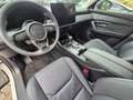 Mazda CX-5 2.5L G141PS 6AT AWD Homura PANO BLOP AUT Weiß - thumbnail 14