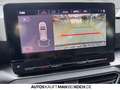 SEAT Leon Sportstourer 2.0 TDI Style PDC LED DAB Navi Rojo - thumbnail 24