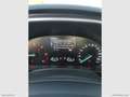 Ford Focus 1.5 EcoBlue 120CV SW Business Zwart - thumbnail 24