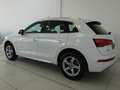 Audi Q5 Q5 II 2017 40 2.0 tdi Business Sport quattro 190cv Bianco - thumbnail 4