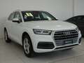 Audi Q5 Q5 II 2017 40 2.0 tdi Business Sport quattro 190cv Bianco - thumbnail 3