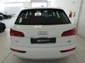 Audi Q5 Q5 II 2017 40 2.0 tdi Business Sport quattro 190cv Bianco - thumbnail 5