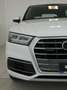 Audi Q5 Q5 II 2017 40 2.0 tdi Business Sport quattro 190cv Bianco - thumbnail 24