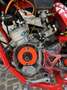 Beta RR 50 track tpr 86 - thumbnail 4