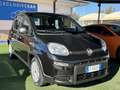 Fiat Panda Panda III 2021 1.0 firefly hybrid s Iva Deducibile - thumbnail 3