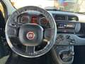 Fiat Panda Panda III 2021 1.0 firefly hybrid s Iva Deducibile - thumbnail 9