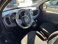Fiat Panda Panda III 2021 1.0 firefly hybrid s Iva Deducibile - thumbnail 7