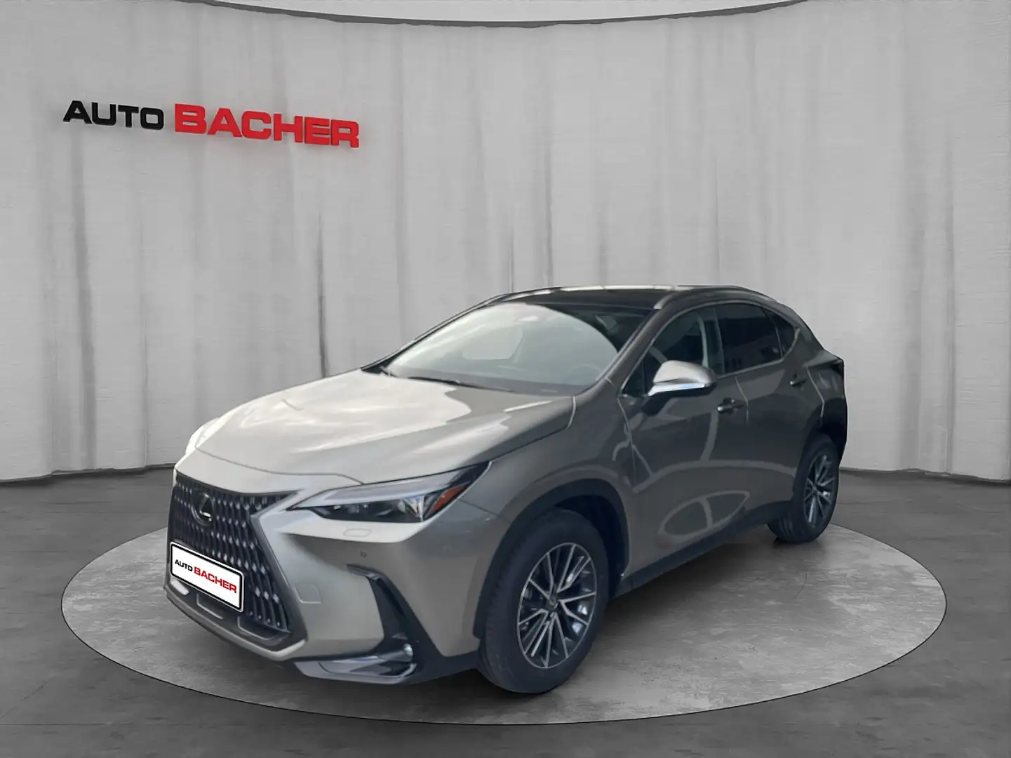 Lexus NX 350h Executive + Pano/Interieur P./Technologie Silber - 1