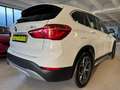 BMW X1 xDrive18d xLine ALL SERVICE BMW Bianco - thumbnail 7