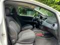 Fiat Punto Evo 1.2 Active | AIRCO | Wit - thumbnail 6