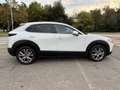 Mazda CX-30 2.0 m-hybrid Executive Appearance Pack 2wd 150cv 6 - thumbnail 2