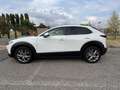 Mazda CX-30 2.0 m-hybrid Executive Appearance Pack 2wd 150cv 6 - thumbnail 4