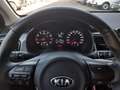Kia Rio 1.2 MPi GPL Evolution GARANZIA - KM CERTIFICATI Rosso - thumbnail 11