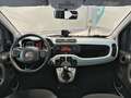 Fiat Panda 1.0 70cv Hybrid City Cross Launch Ed Verde - thumbnail 8