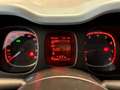 Fiat Panda 1.0 70cv Hybrid City Cross Launch Ed Verde - thumbnail 13