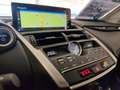 Lexus NX 300 300h Business 2WD Bílá - thumbnail 10