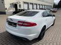 Jaguar XF 3.0 V6 Diesel S Vollausstattung 09.2025 Weiß - thumbnail 6