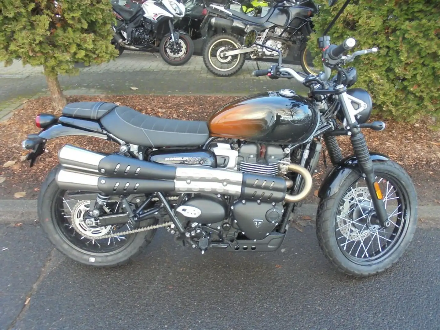 Triumph Scrambler 900 Naranja - 2