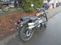 Triumph Scrambler 900 Naranja - thumbnail 3