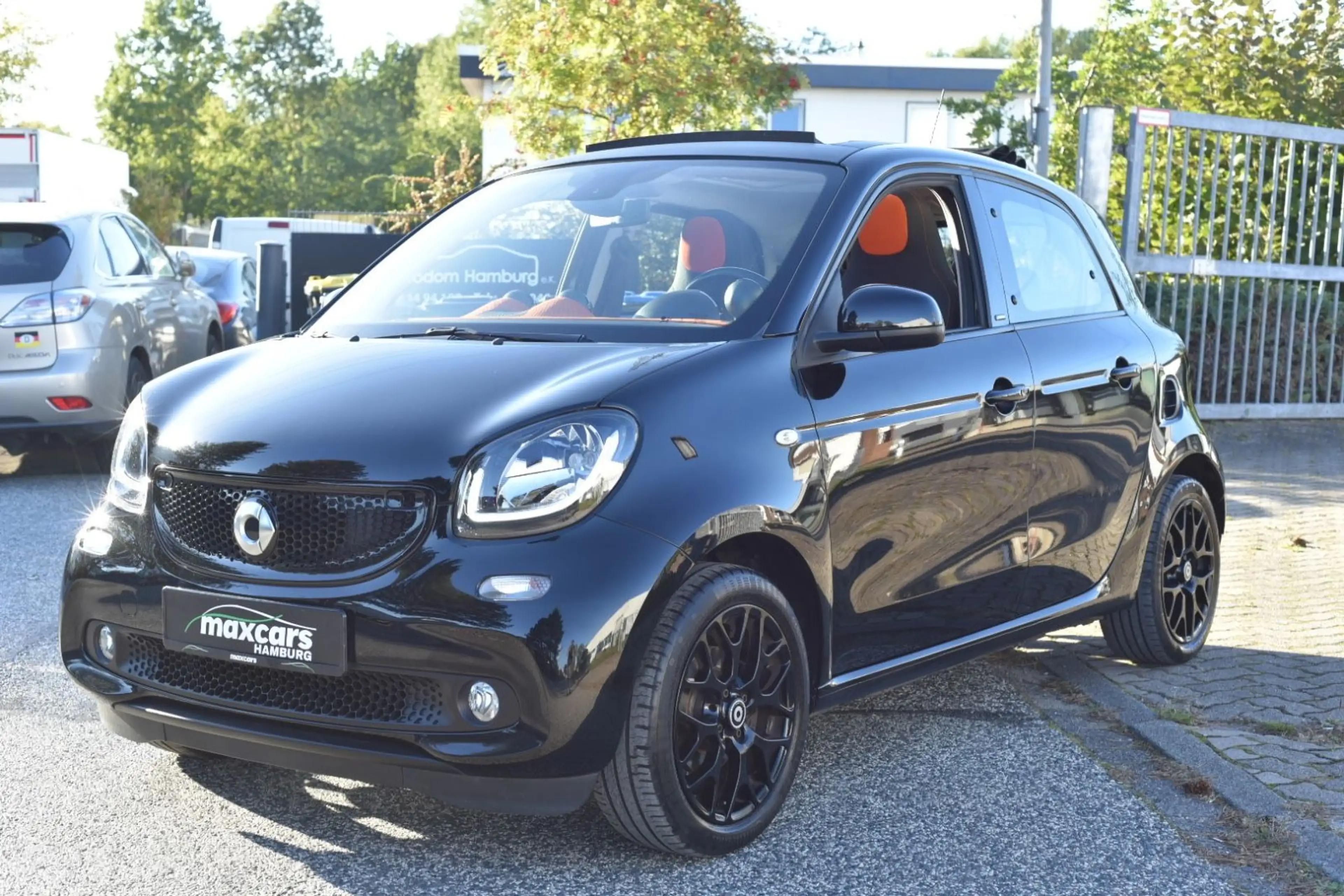 smart forFour FALTDACH NAVI — photo 3