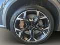 CUPRA Formentor VZ 2.0 TSI 4Drive OPF Grau - thumbnail 20