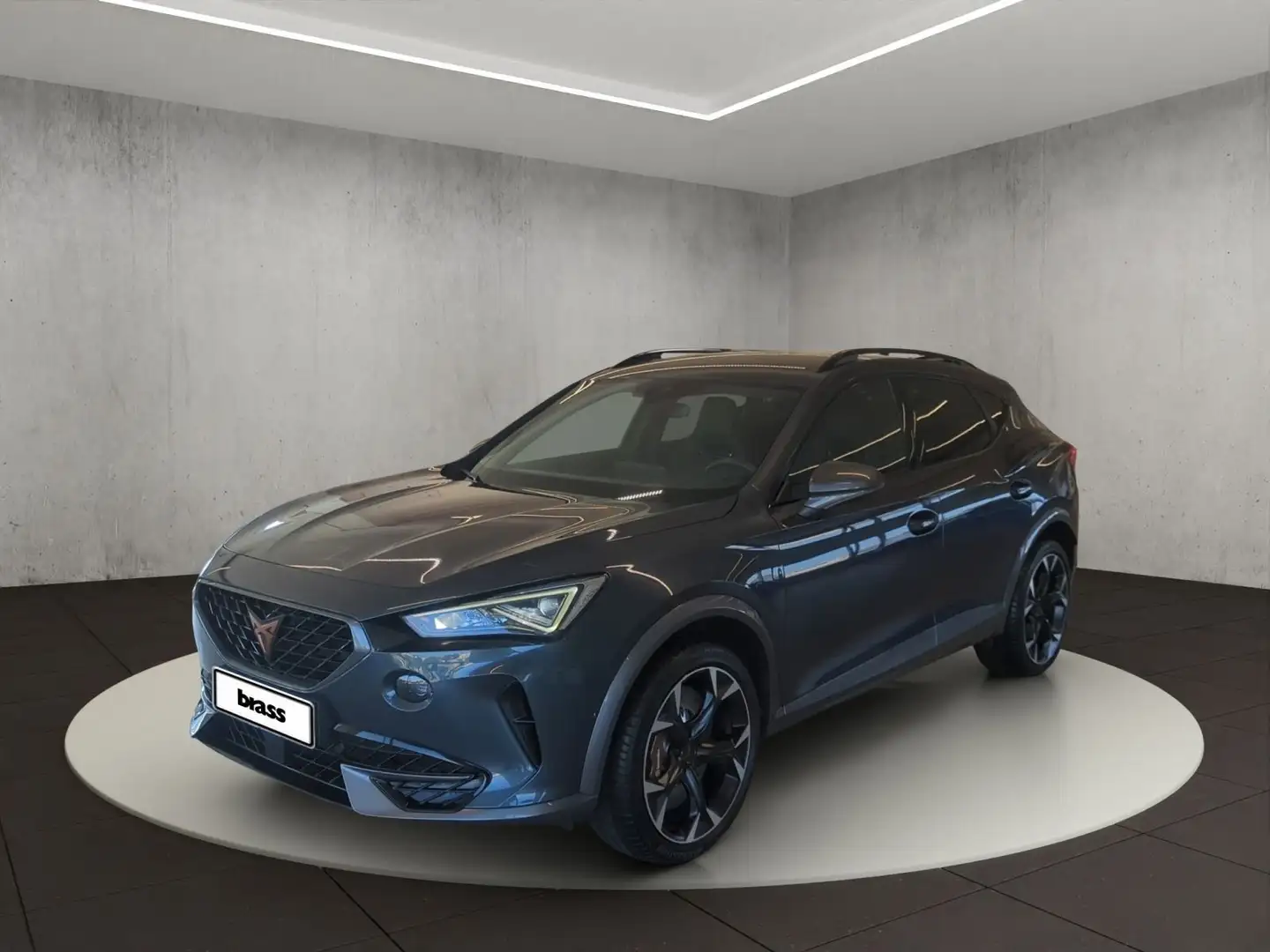 CUPRA Formentor VZ 2.0 TSI 4Drive OPF Grau - 1