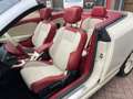 Renault Megane Coupé-Cabriolet 1.4 TCE Floride GT-Line UNIEKE Uit Bruin - thumbnail 12