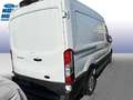 Ford Transit 290 L2 Trend Blanc - thumbnail 5