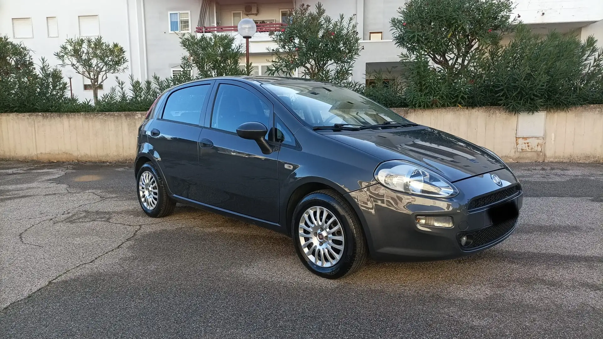 Fiat Punto Punto 1.2 8V 5 porte Street GPL Grigio - 1