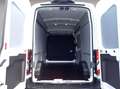 Ford Transit 350 L2H3 Lkw VA Trend 125 kW, 4-türig (Die Blanc - thumbnail 4