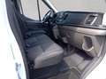 Ford Transit 350 L2H3 Lkw VA Trend 125 kW, 4-türig (Die Blanc - thumbnail 19